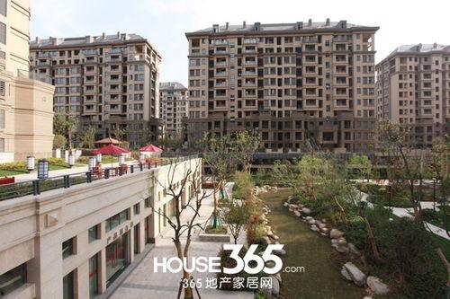 华地紫园最新爆料新闻,揭秘神秘项目背后的惊人真相  第3张